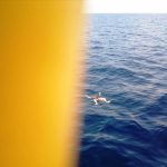 Fishermen – Web