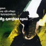 Kathal 2
