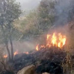 Kurangani-Forest-Fire-1