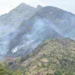 Kurangani-Forest-Fire-2
