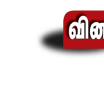 VINAVU LOGO