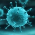 Nipah-Virus