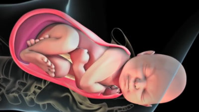 normal_spontaneous_vaginal_delivery
