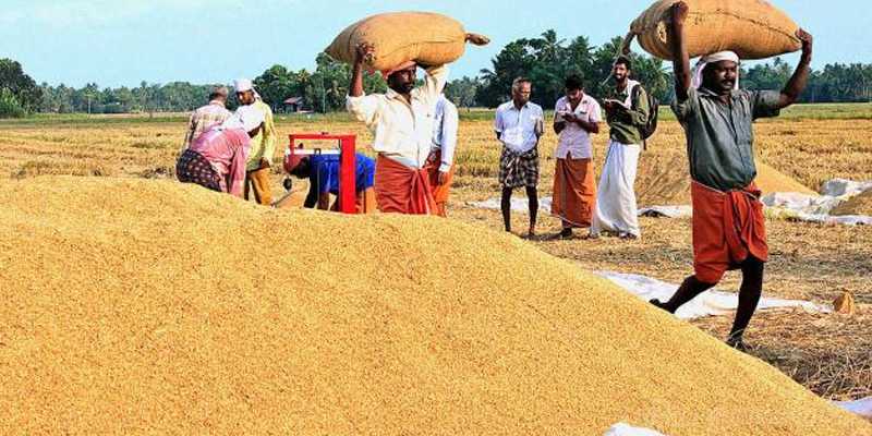 விளைந்த நெல்லை கொள்முதல் செய்ய எடப்பாடி அரசிடம் சாக்குப் பைகள் இல்லையாம் ! | வினவு