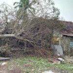 103_cyclone-gaja_tharangambadi