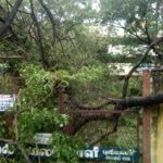 83_cyclone-gaja_thiruvarur_pulivalam_school