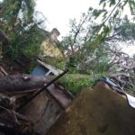 89_cyclone-gaja_orathanadu_agraharam