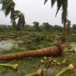 90_cyclone-gaja_orathanadu_agraharam