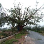 91_cyclone-gaja_pudukottai_thirukattalai