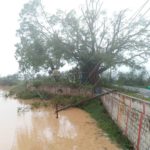 92_cyclone-gaja_pudukottai_thirukattalai