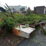 93_cyclone-gaja_pudukottai_thirukattalai