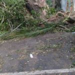 96_cyclone-gaja_thiruvarur_kattimedu