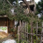cyclone-gaja_nov_2018_Thiruvarur_68