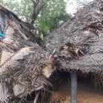 cyclone gaja_nov_2018_orathanadu_01