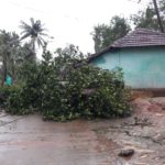 cyclone gaja_nov_2018_orathanadu_05