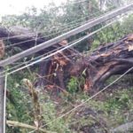 cyclone gaja_nov_2018_orathanadu_09