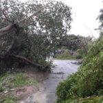 cyclone-gaja_nov_2018_orathanadu_13
