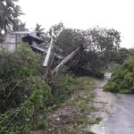 cyclone-gaja_nov_2018_orathanadu_14