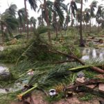 cyclone-gaja_nov_2018_orathanadu_19