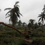 cyclone-gaja_nov_2018_orathanadu_21