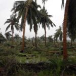 cyclone-gaja_nov_2018_orathanadu_22