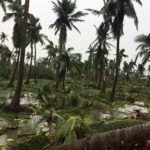 cyclone-gaja_nov_2018_orathanadu_23