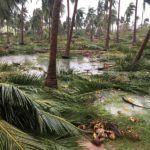 cyclone-gaja_nov_2018_orathanadu_24