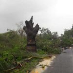 cyclone-gaja_nov_2018_orathanadu_30