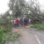 cyclone-gaja_nov_2018_orathanadu_34
