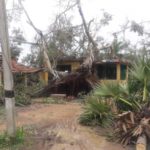 cyclone-gaja_nov_2018_orathanadu_51