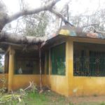 cyclone-gaja_nov_2018_orathanadu_57