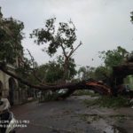 cyclone-gaja_nov_2018_pudukottai_44