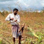 gaja_update_karuvakkurichi_15