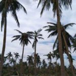 gaja_update_karuvakkurichi_7