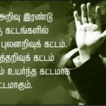 qod-nov6_mao zedong