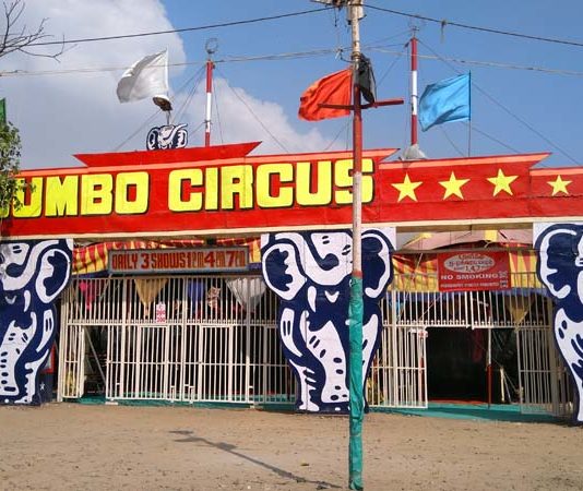 ஜம்போ சர்க்கஸ் : நாங்கள் செத்துக் கொண்டிருக்கிறோம் !