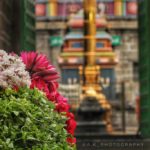 Karthick_A_triplicane