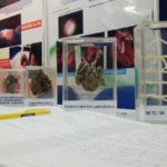 Medical TNGIM 2019 (2)