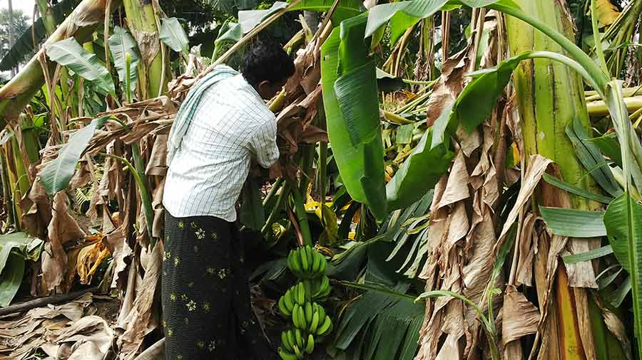 அரசு நிவாரணமும் கிடைக்காது