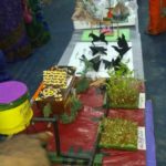 pongal_madurai_iraniyan