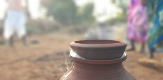 பொங்கலும் விவசாயமும் | வாசகர் புகைப்படங்கள் !