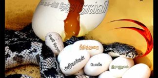 இந்துத்துவ அரசியல்