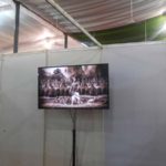 hindu spiritual and service fair 2019 (6)