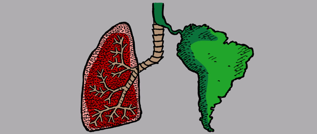 Amazon-Lungs-of-the-Earth