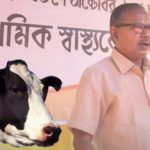 cow-Assam-mla