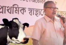 cow-Assam-mla