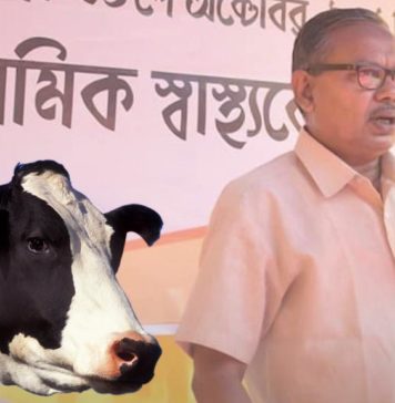 cow-Assam-mla