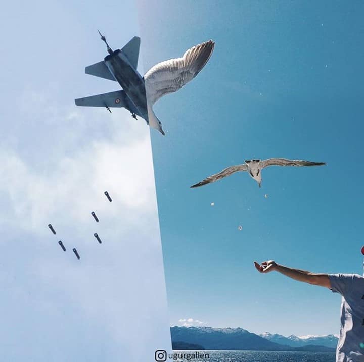 social-contradictions