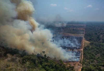 Amazon Forest Fire