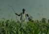 Farmer